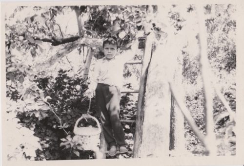 Picking-up-apples-at-my-grandparents-orchard